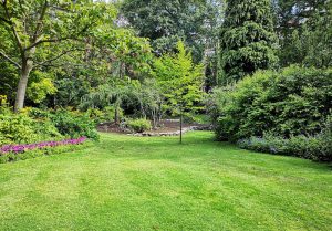 Optimiser l'expérience du jardin à Saint-Etienne-Roilaye
